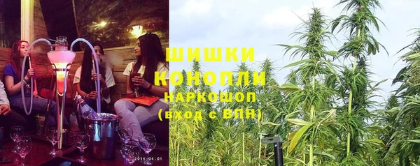 мяу мяу мука Михайлов