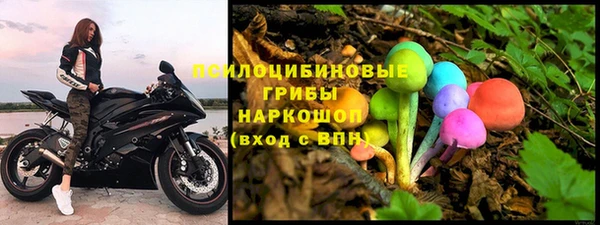 ALPHA PVP Гусев