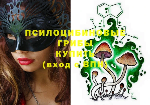 ALPHA PVP Гусев