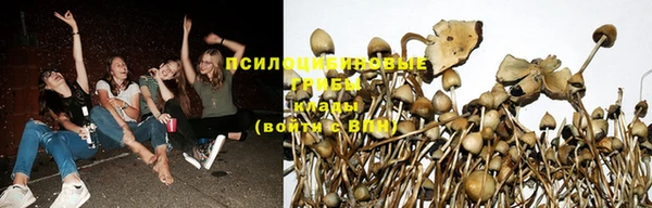 ALPHA PVP Гусев